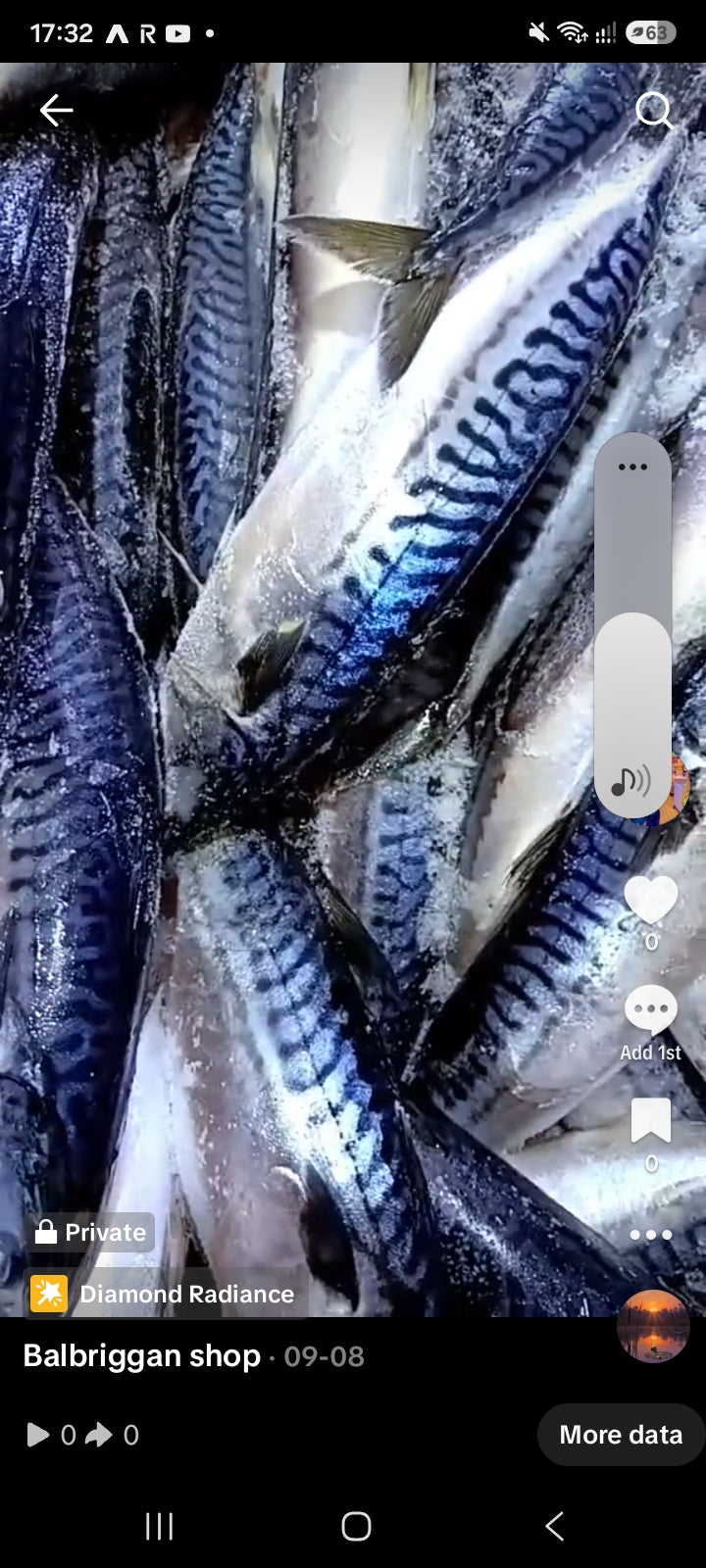 FROZEN MACKEREL ( TITUS FISH)