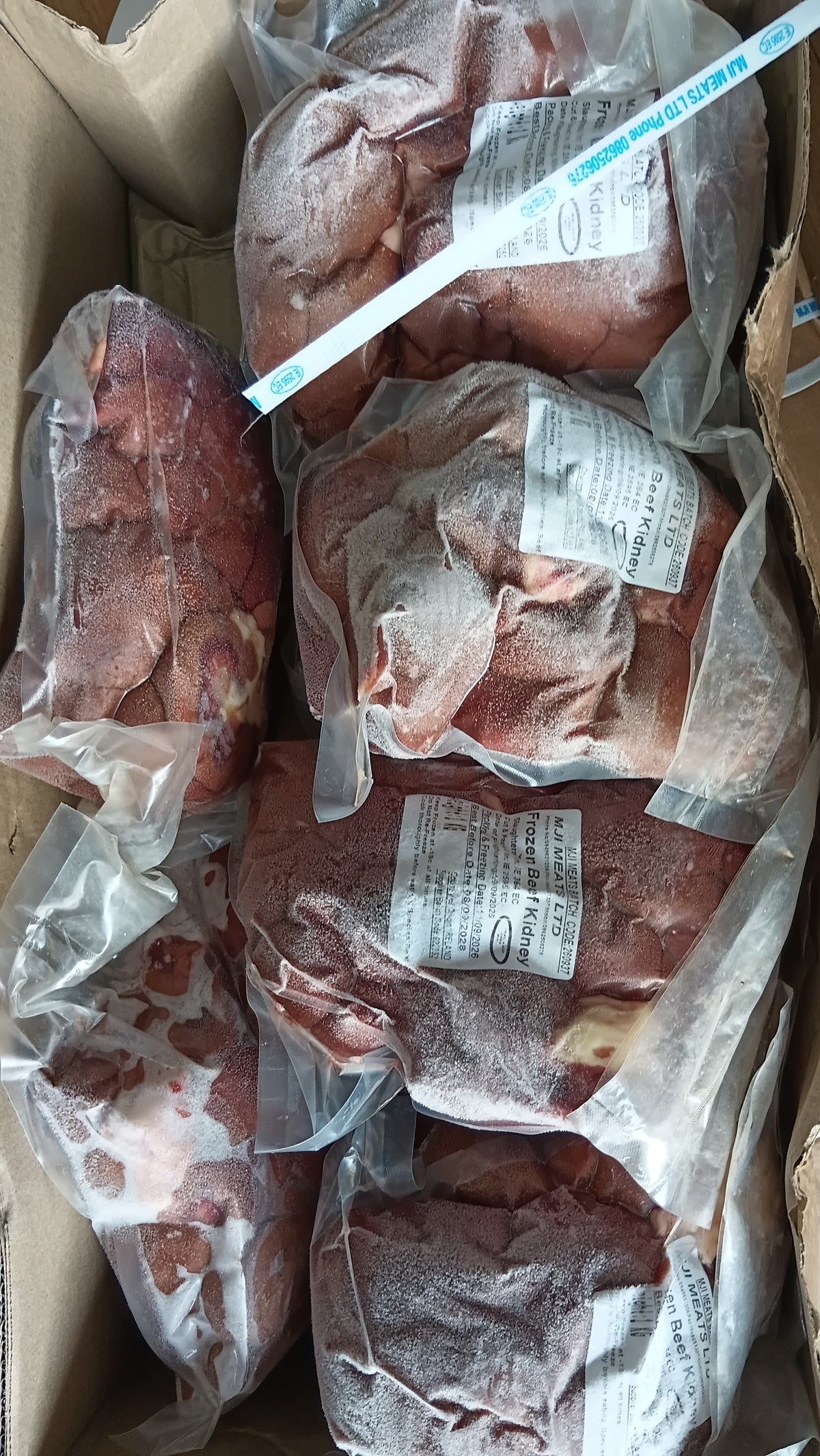 FROZEN BEEF KIDNEY