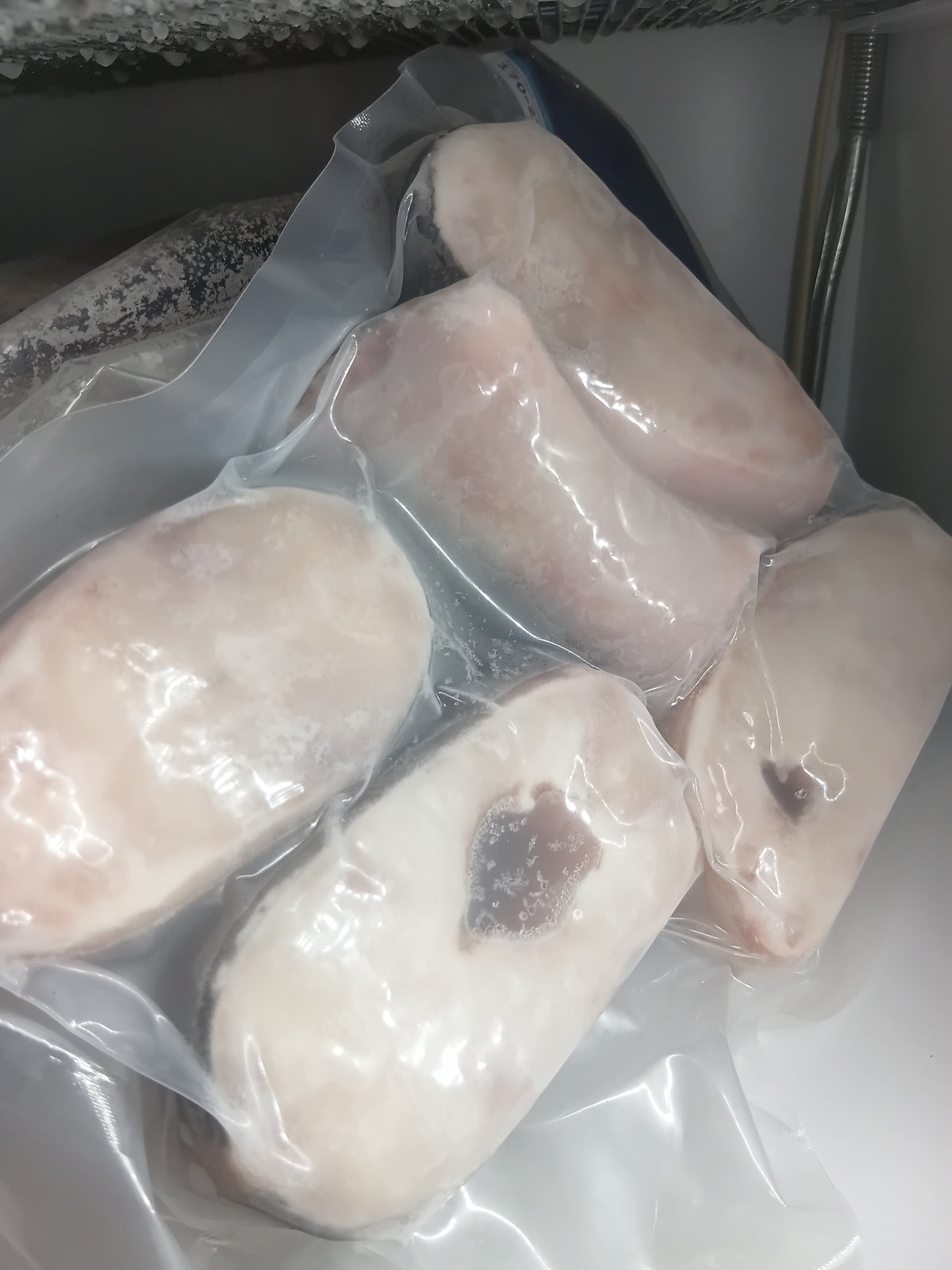 FROZEN PANGASIUS FISH STEAK