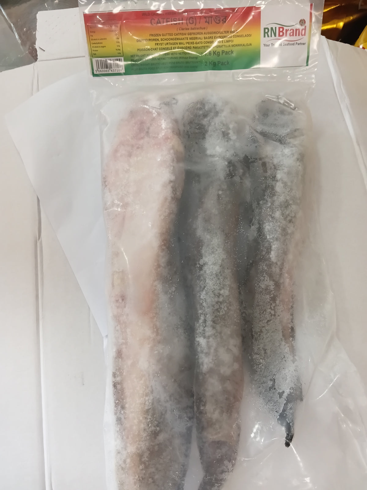 FROZEN CATFISH WHOLE