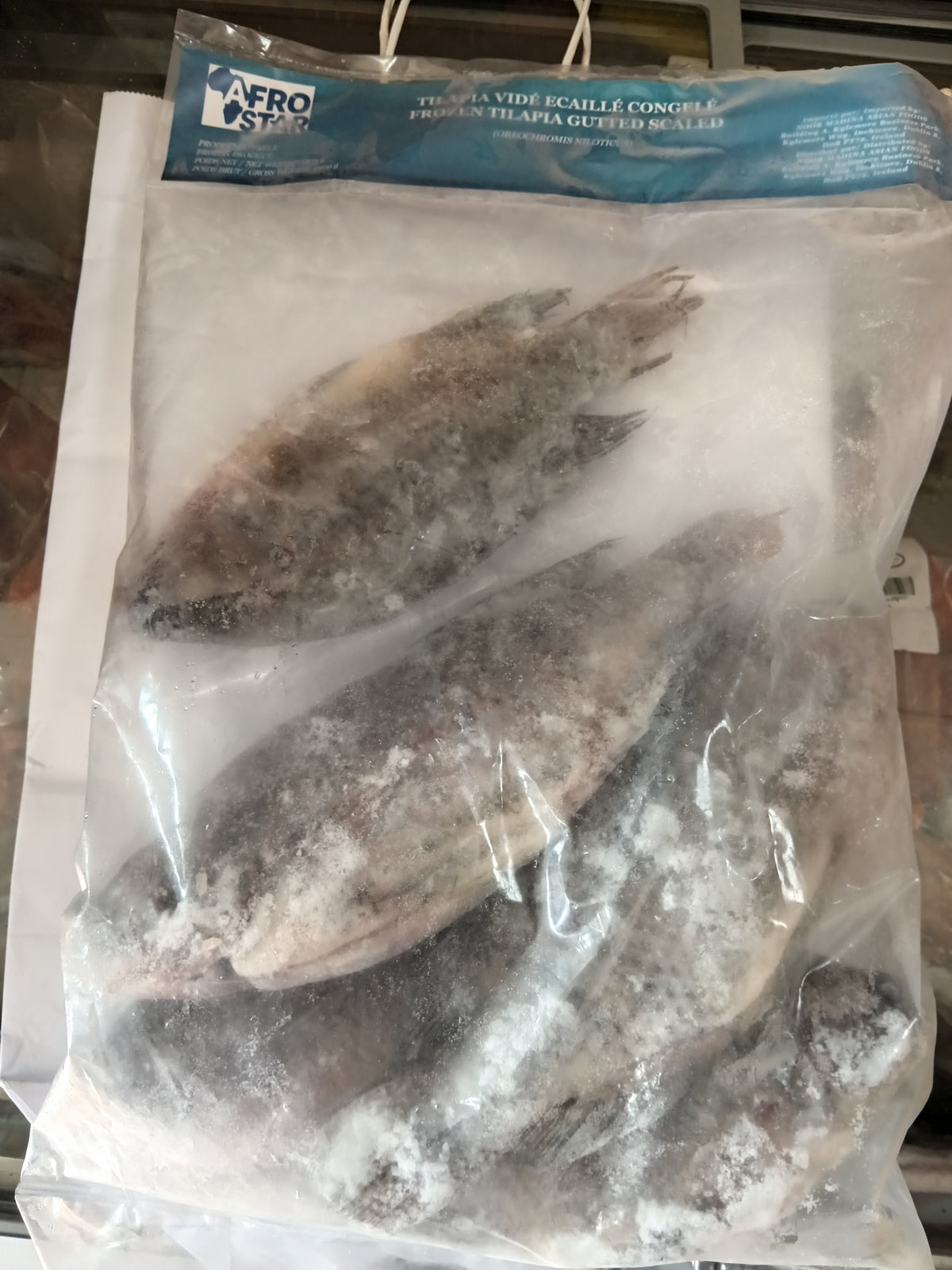 FROZEN TILAPIA  FISH WHOLE