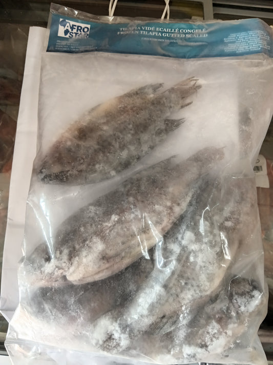 FROZEN TILAPIA  FISH WHOLE