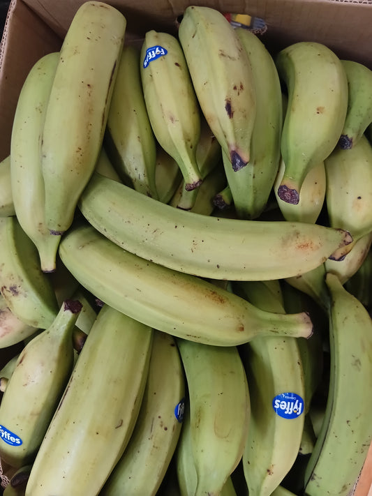 PLANTAIN GREEN EACH